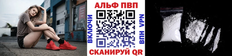 A PVP СК  Ардатов 