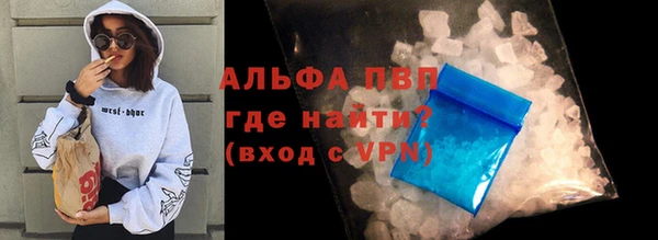 прущие грибы Сафоново