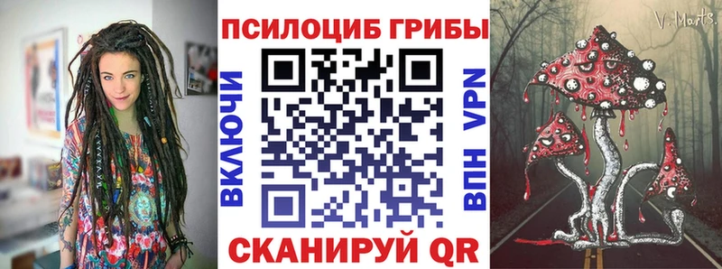 Псилоцибиновые грибы прущие грибы  закладка  Ардатов 